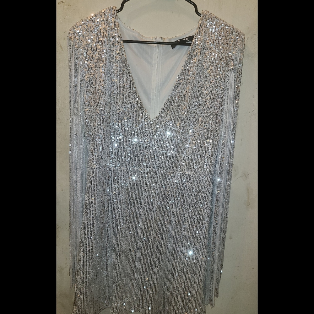 Shinny sparkling silver dress